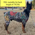 9XL