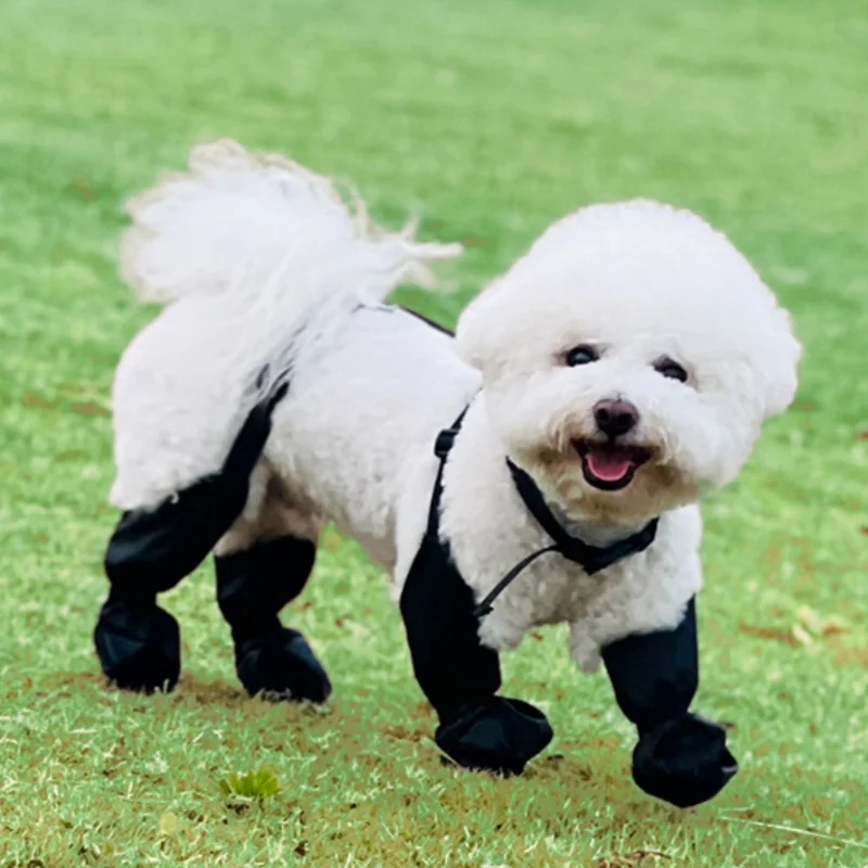 Botas impermeables antideslizantes perros para senderismo y lluvia - imagen 4