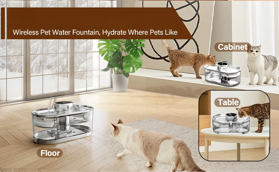 pet water fountain