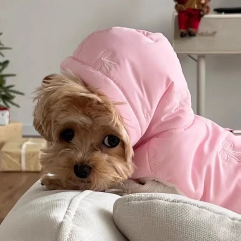 Chaqueta de plumón cálida para perro, ropa con estampado de lazo para perro, chaleco suave y bonito para cachorro, chaqueta de gato a la moda, abrigo, disfraz de caniche, suministros para mascotas - imagen 5