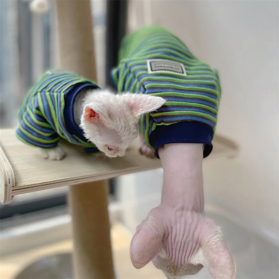 Sphynx CAT Summer Fashion Garment Green STRIPE Cotton Pyjama gatito soft polo camiseta gato macho Devon Rex abrigo - imagen 5