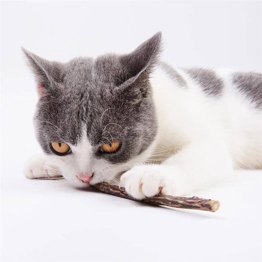 Juguete de matatabi natural para gatos - imagen 4