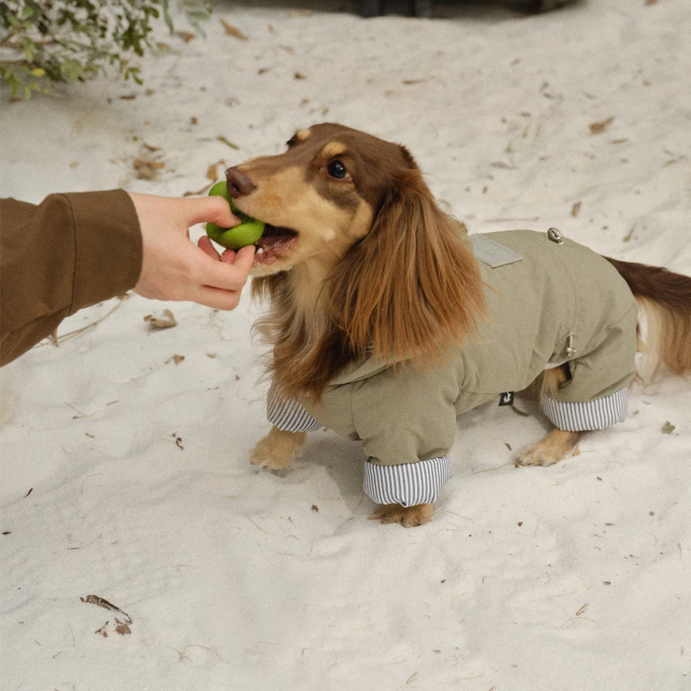 Abrigo de plumón para perro Dachshund – Chaqueta cálida invierno - imagen 4