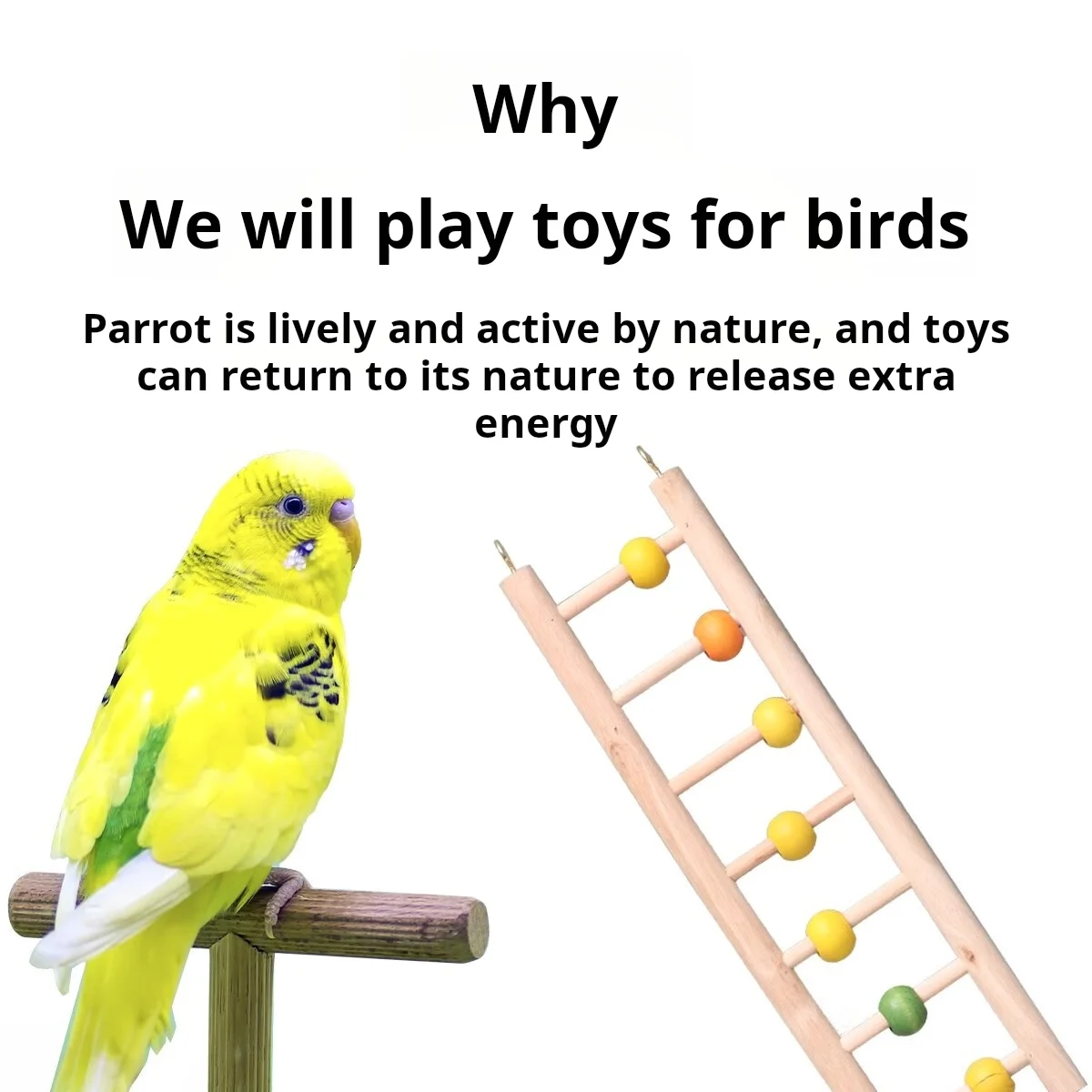 Escalera de madera maciza para loros y pájaros – Juguete jaula - imagen 3