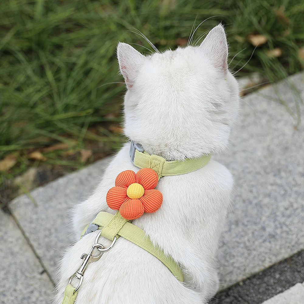 Conjunto de correa de arnés de gato a la moda antirotura, arnés de perro transpirable ajustable, conjunto de correa de arnés para perro pequeño Simple y bonito con flores - imagen 5
