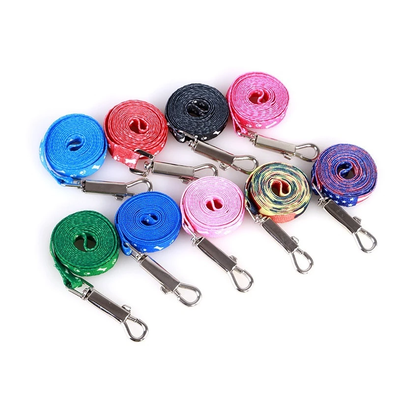 Correa barata para perros pequeños, correas para cachorros, correa y arnés para mascotas de peluche, conjunto de cuerda de plomo bonita, correa para gatos y gatitos, decoración de cosas para mascotas - imagen 3