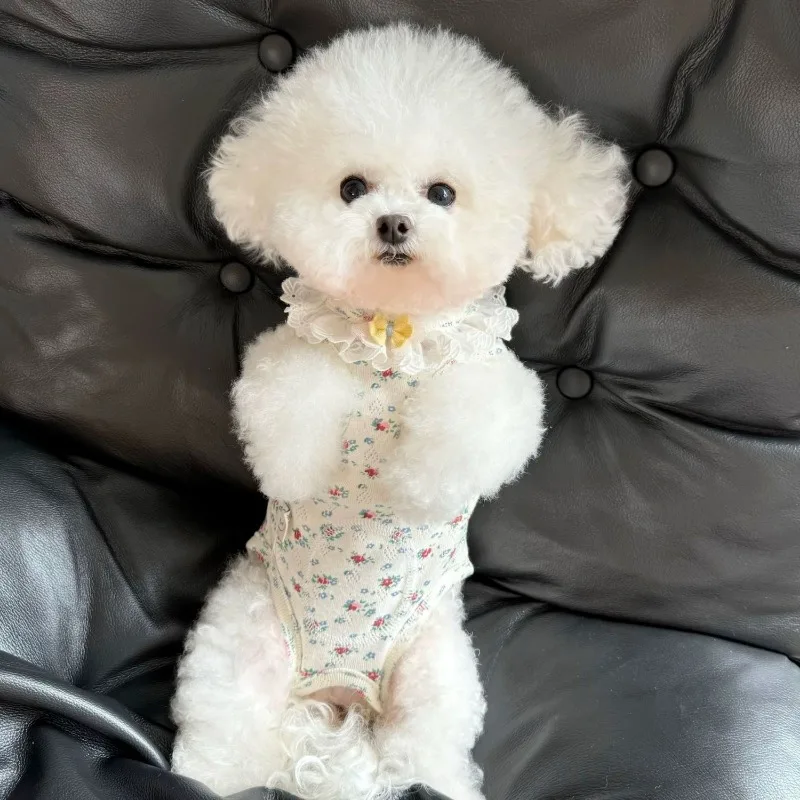 Pijamas de encaje con estampado de flores para perros y gatos, mono con vientre envuelto, ropa para perros pequeños, monos para cachorros y gatos Yorkshire Terrier - imagen 4
