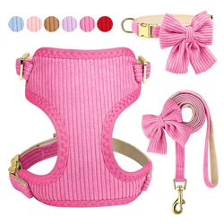 Pack completo: arnés acolchado, collar lazo y correa para perros pequeños