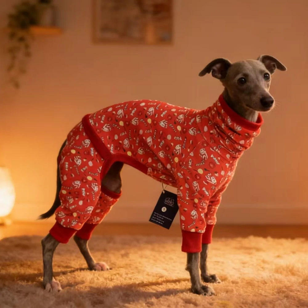 Abrigo de algodón para galgo italiano y Whippet – Cuello alto primavera y otoño