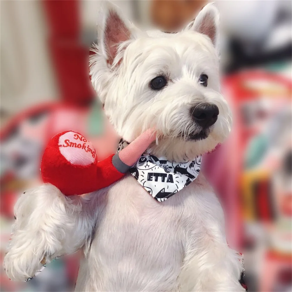 Juguete masticable felpa para perros pequeños – Limpieza dental efectiva - imagen 3