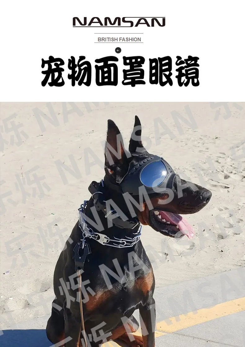 Gafas protectoras para perro en exterior