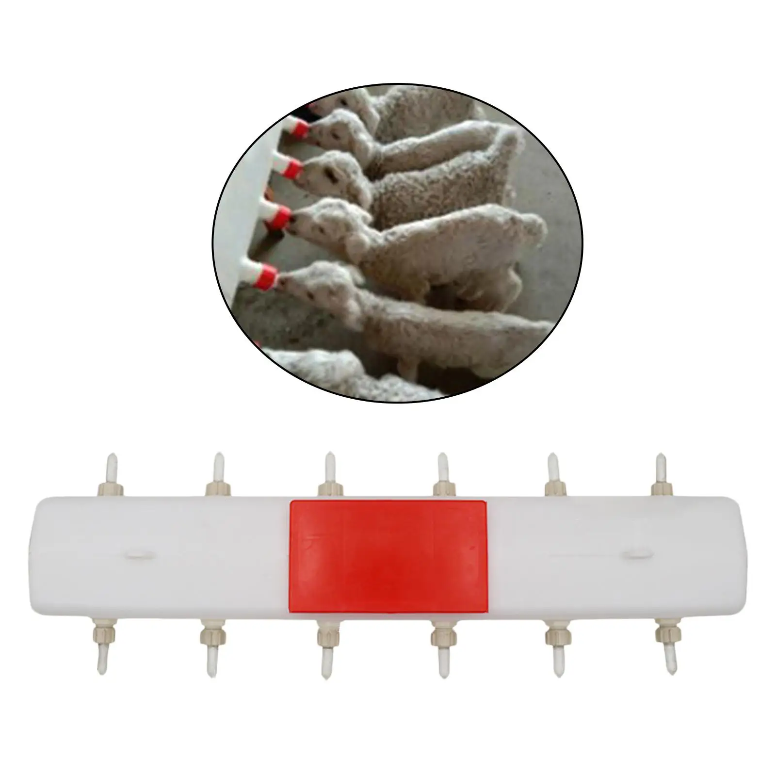 MiLK Feed Bucket Large-capacity MiLK Bottle Feeder Livestock