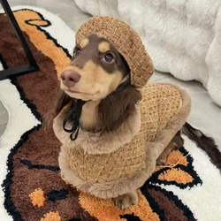 Conjunto de ropa con abrigo de piel para perros pequeños y tipo salchicha