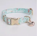 Snow Rabbit(Collar)