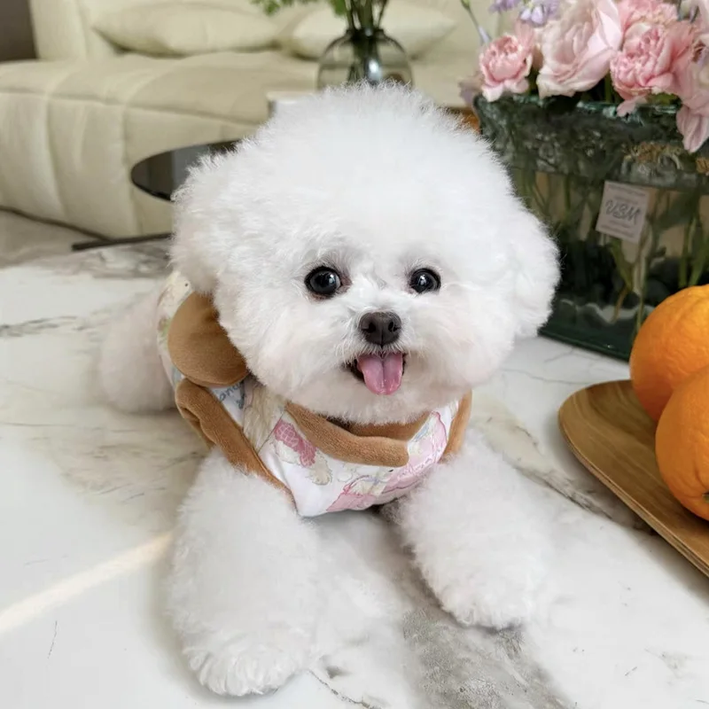 Abrigo grueso de otoño e invierno para mascotas, bonito chaleco con cuello de oso de peluche, abrigo de invierno para gatos, ropa para perros pequeños, ropa para cachorros - imagen 4