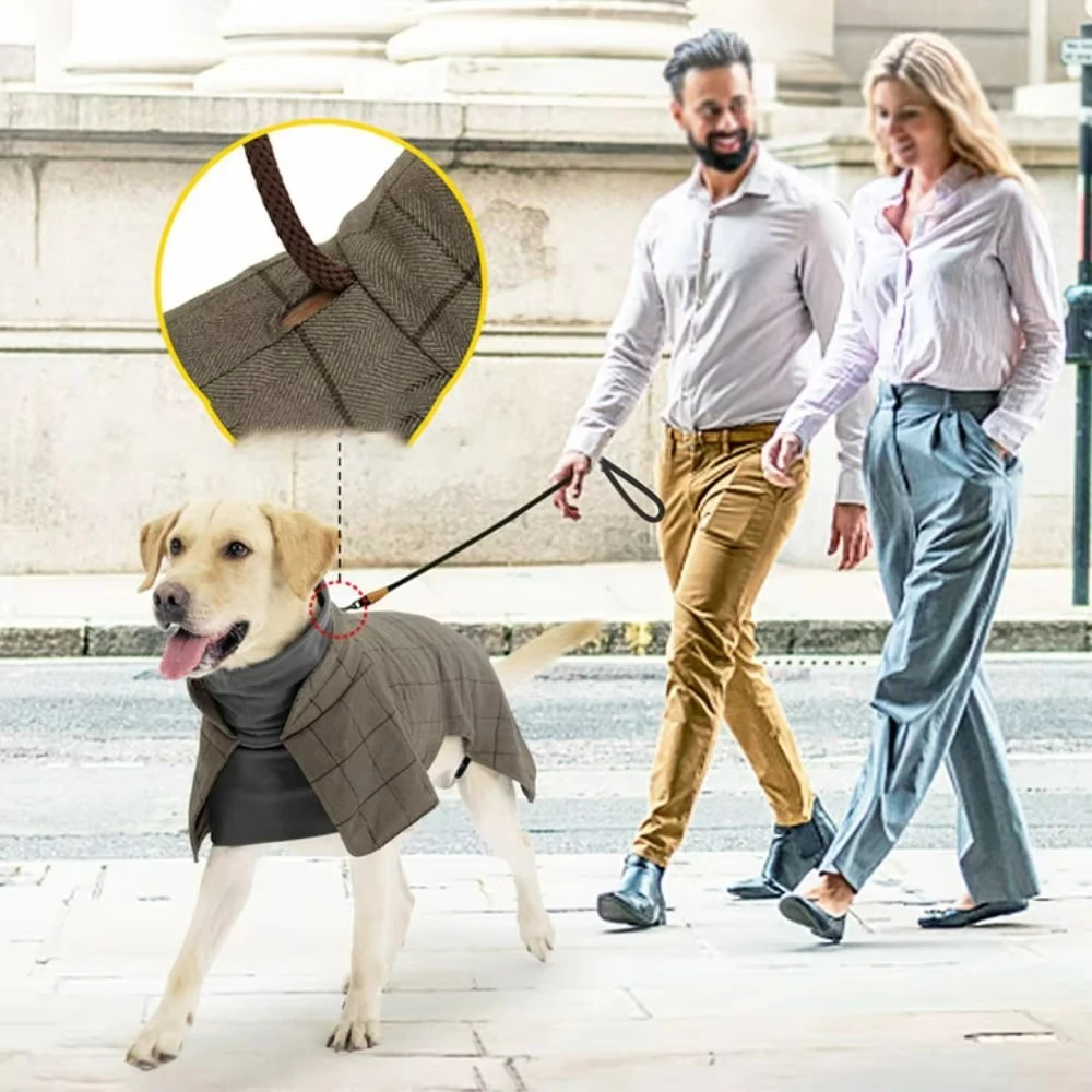 Ropa de lujo para mascotas, abrigo de algodón polar de invierno, grueso, cálido, suave, estilo caballero británico, para perros medianos - imagen 2