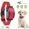 PD 218V-red collar
