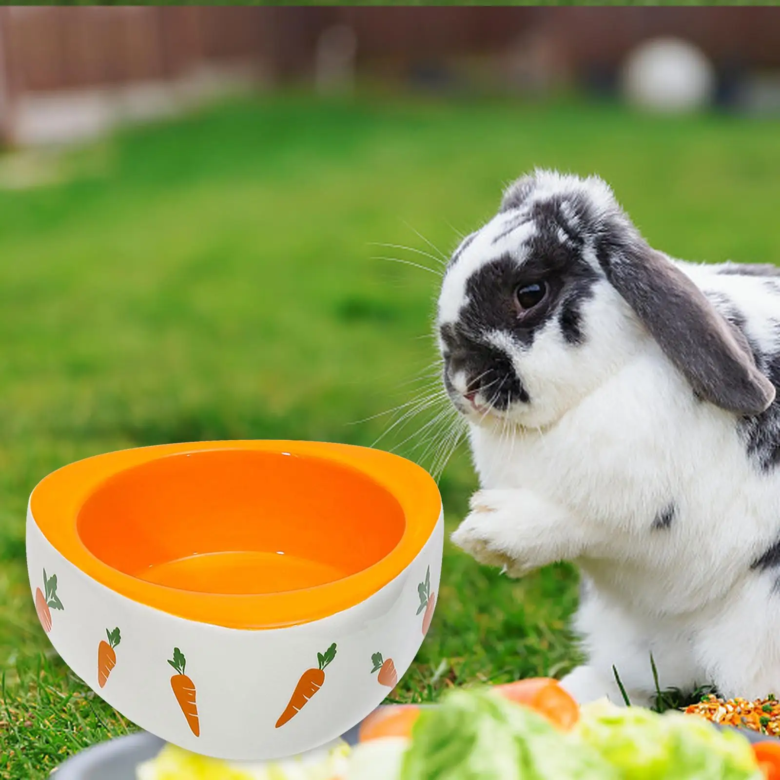 Cuenco antideslizante para comedero de conejo, cuenco de cerámica para hámster, cuenco para alimentación, cuenco de comida para perros y gatos, para cachorros, gatitos, animales pequeños y pájaros - imagen 4