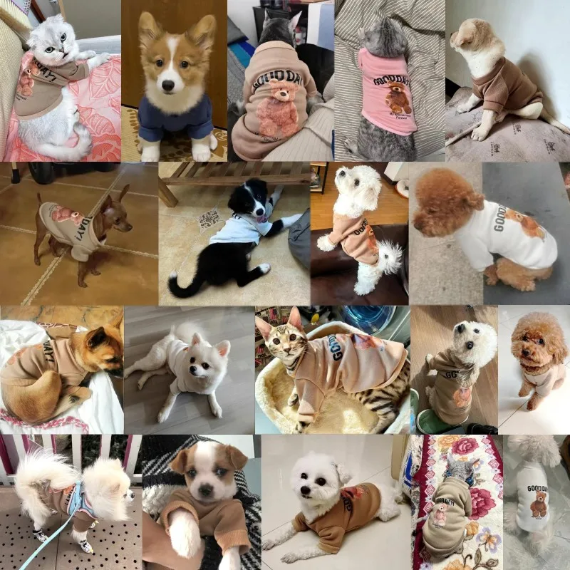 Sudaderas con capucha para perros de otoño, ropa con estampado bonito para perros, sudadera a la moda para cachorros, sudaderas con capucha para gatos y osos de dibujos animados, jerséis para mascotas, disfraces Bichon Frise - imagen 2