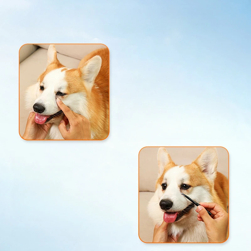 Polvo quitamanchas para mascotas, 30g, polvo para manchas de ojos de gato y perro con cepillo para manchas, polvo de lágrimas absorbente suave - imagen 4