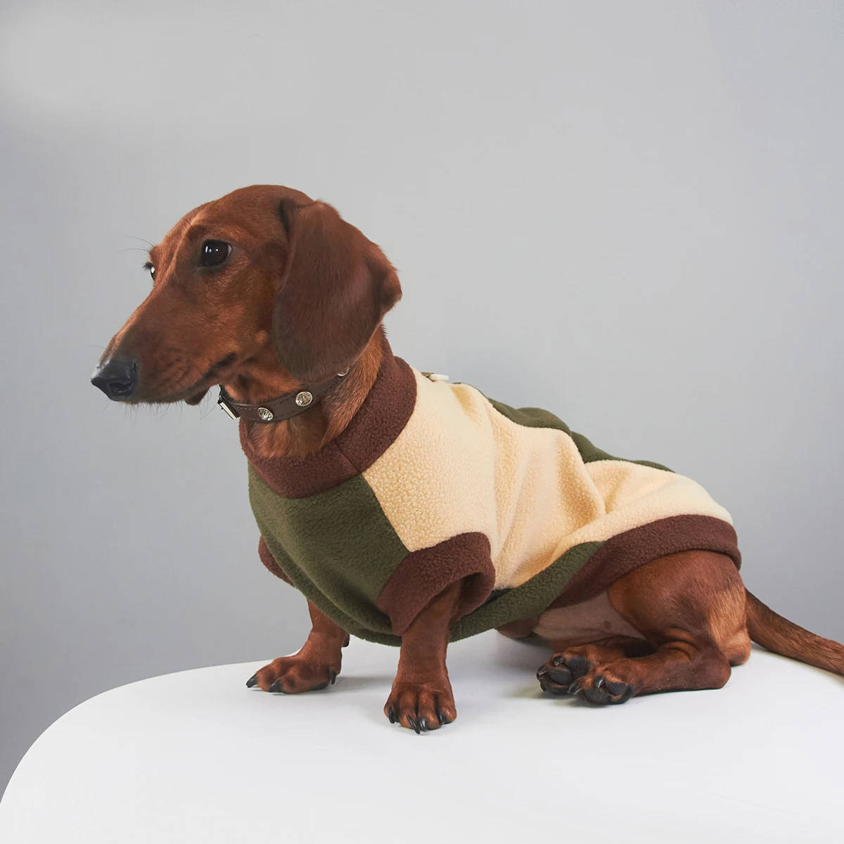Sudadera de lana cálida de invierno para perros Wiener, chaleco de moda grueso de manga corta suave para perros salchicha, ropa para perros tejón