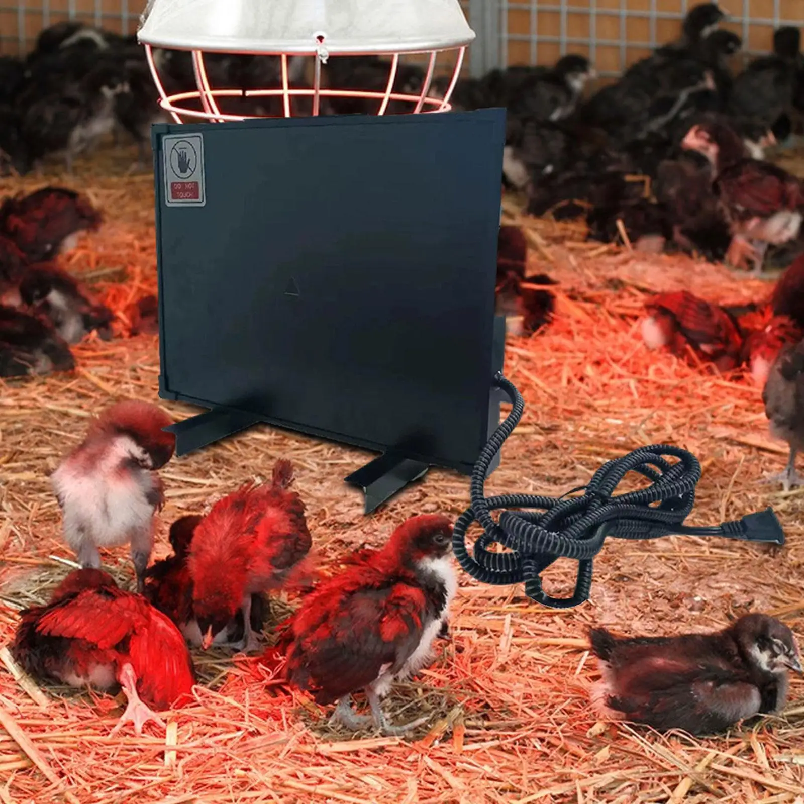 Calentador de chocadeira para pollitos, equipo de placa calefactora para cría de pollos, dispositivo de calentamiento compacto para mascotas interiores y exteriores - imagen 4