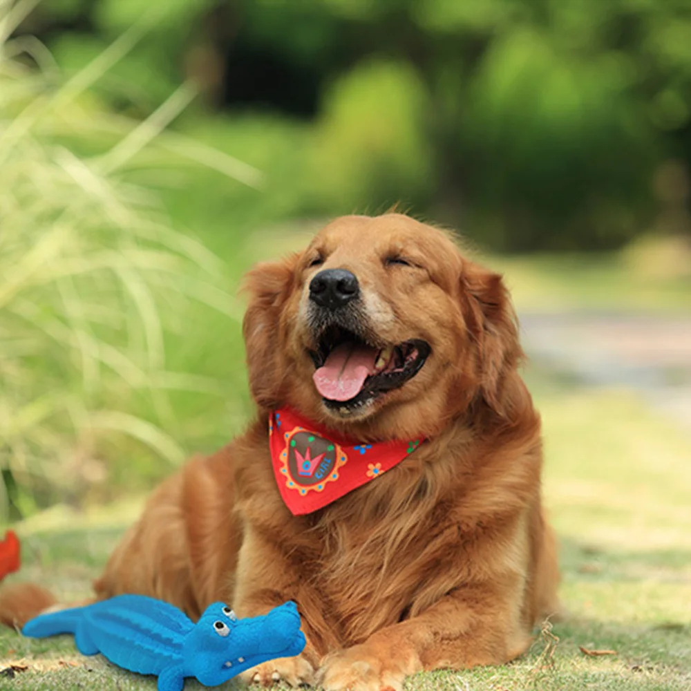 Juguete para masticar perros y mascotas, juguetes de dentición con sonido, máquinas de cizallamiento, tratamiento de goma, limpieza de dientes, accesorios de entrenamiento Molar - imagen 3