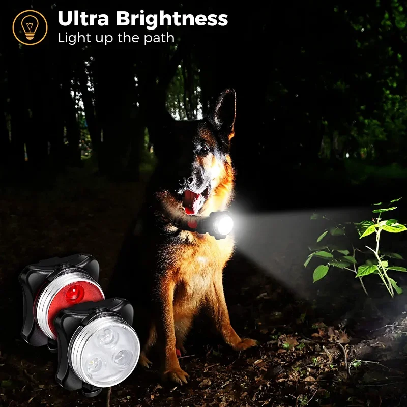 Luz LED para Collar de perro para caminar de noche, luces impermeables para perros, luz recargable con Clip para mascotas, Collar para mascotas, 4 modos de luz - imagen 2