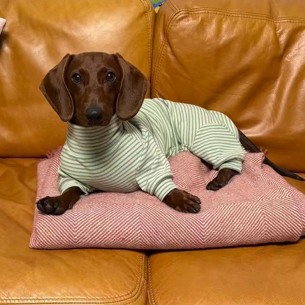 Pijama suave, cálido para perros tipo salchicha miniatura y medianos - imagen 3