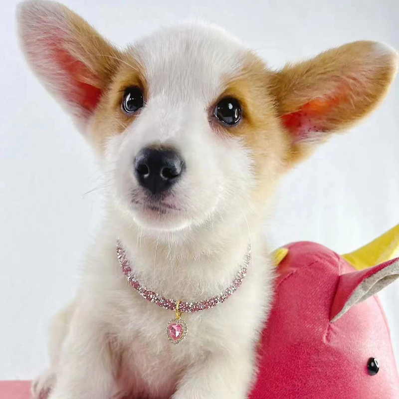 Collar ajustable para mascotas, Collar de perro y gato con colgante de corazón de circonita de diamante, joyería de lujo, collares de Metal para cachorros, accesorios para perros - imagen 3