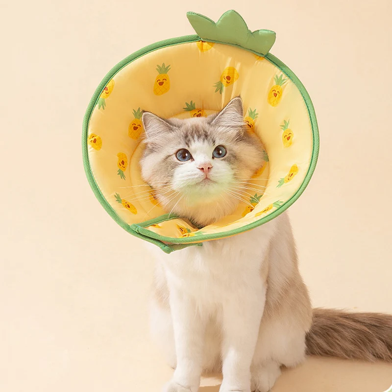 Collar isabelino ajustable para perros, forma de fruta de dibujos animados, perro y gato, Collar de recuperación acolchado suave, Anti lamer, protector para heridas - imagen 5