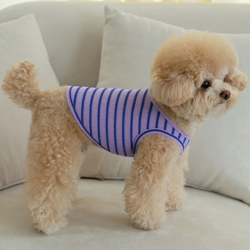 Ropa para perros, disfraz sin mangas para niño y niña, chaleco para perros pequeños, Chiwawa Yorkshire, ropa de verano para cachorros, sudadera para gato, camisas - imagen 2