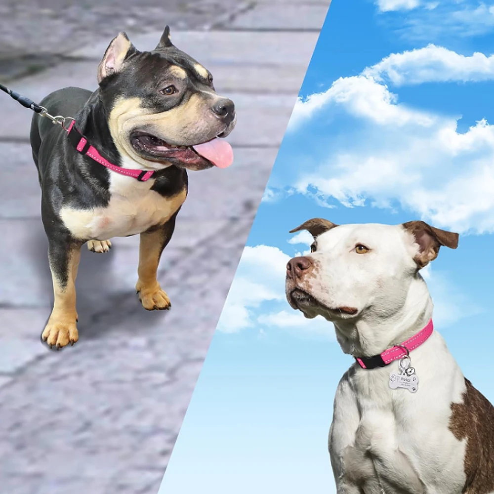 Correa reflectante para Collar de perro con seguridad ajustable, Collar de nailon para mascotas, cuerda de tracción para mascotas adecuada para mascotas de tamaño pequeño y mediano - imagen 3