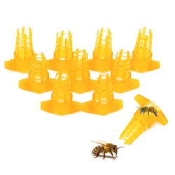Cubierta protectora para jaulas de abeja y reina - Apicultura