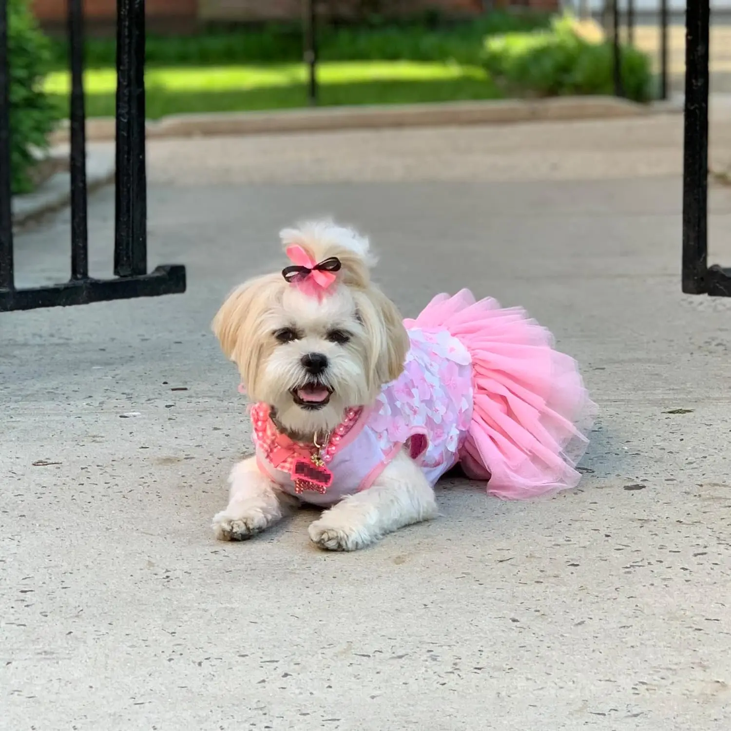 Vestido bonito para perro y niña, falda de tul de encaje de princesa con lazo, vestido tutú con volantes para perros pequeños, gatos, Chihuahua York, ropa de verano para cachorros - imagen 4