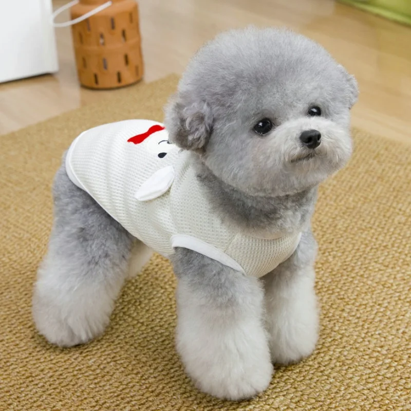 Ropa de lujo para perros y gatos: chalecos, suéteres y camisetas - imagen 3