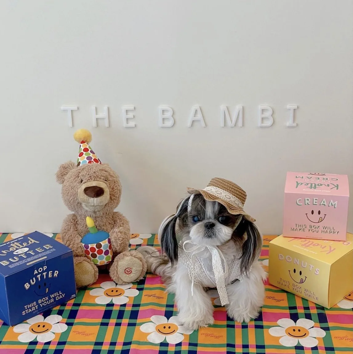 Sombrero protector solar para perro y gato, decoración de estilo Pastoral, foto, tocado, sombrilla, accesorios para perros pequeños - imagen 2