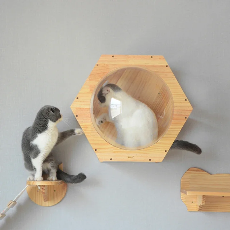 Casa de madera montada en la pared para gatos, torre de árbol para gatos, cápsula espacial, marco de escalada para gatos, juguete para gatitos, escalera de escalada, muebles para rascar mascotas - imagen 4