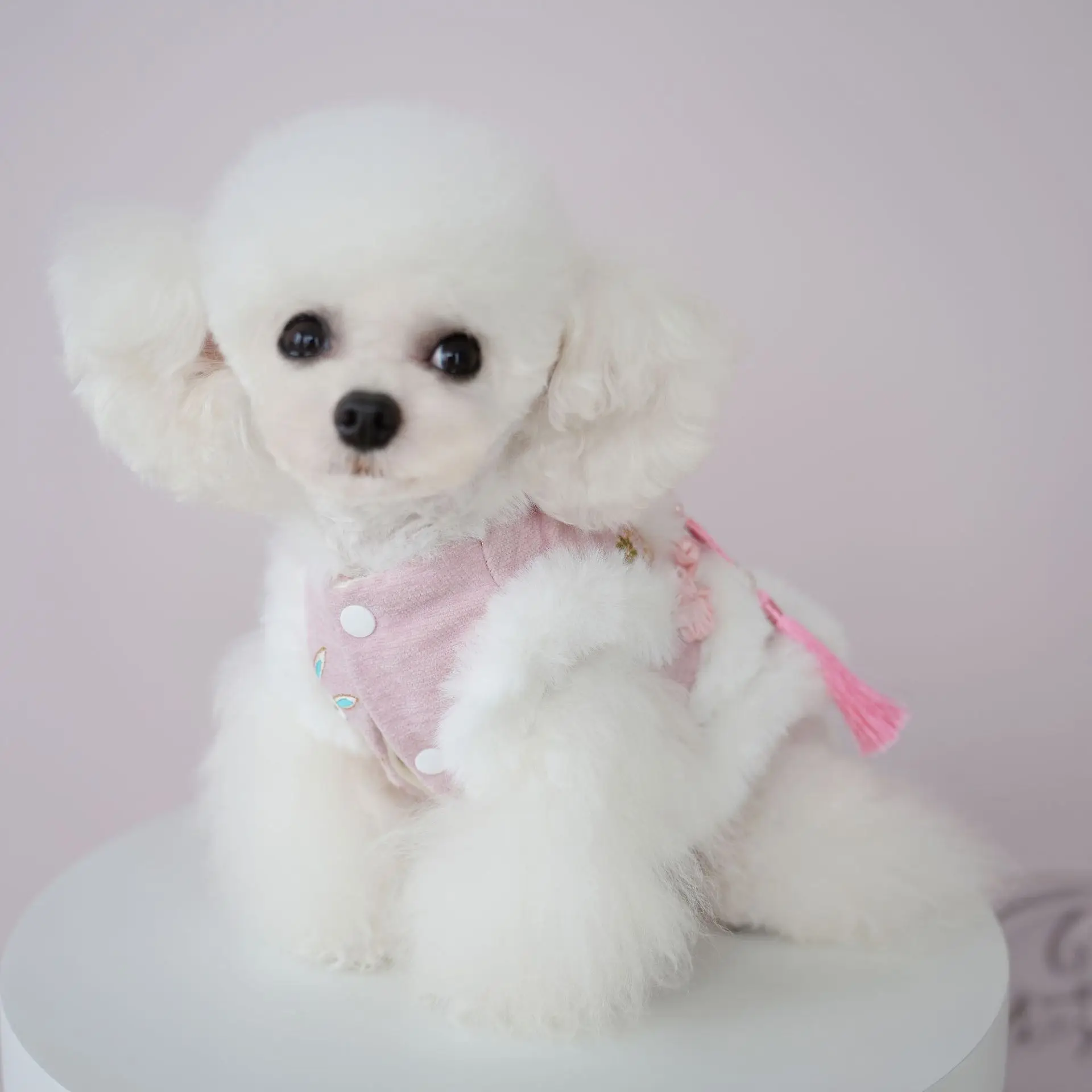 Abrigo de Navidad con cuello de felpa para mascotas, traje de Año Nuevo para gato, pajarita, borla, abrigos rosas, oso de peluche, Parkas para perros de dos patas para año nuevo - imagen 2