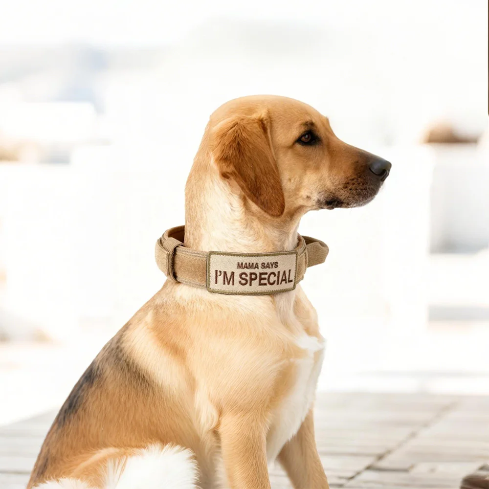 Collar táctico para perros con correa de velcro, Collar de nailon resistente para mascotas, diseño ajustable para entrenamiento y caminar de perros medianos a grandes - imagen 5