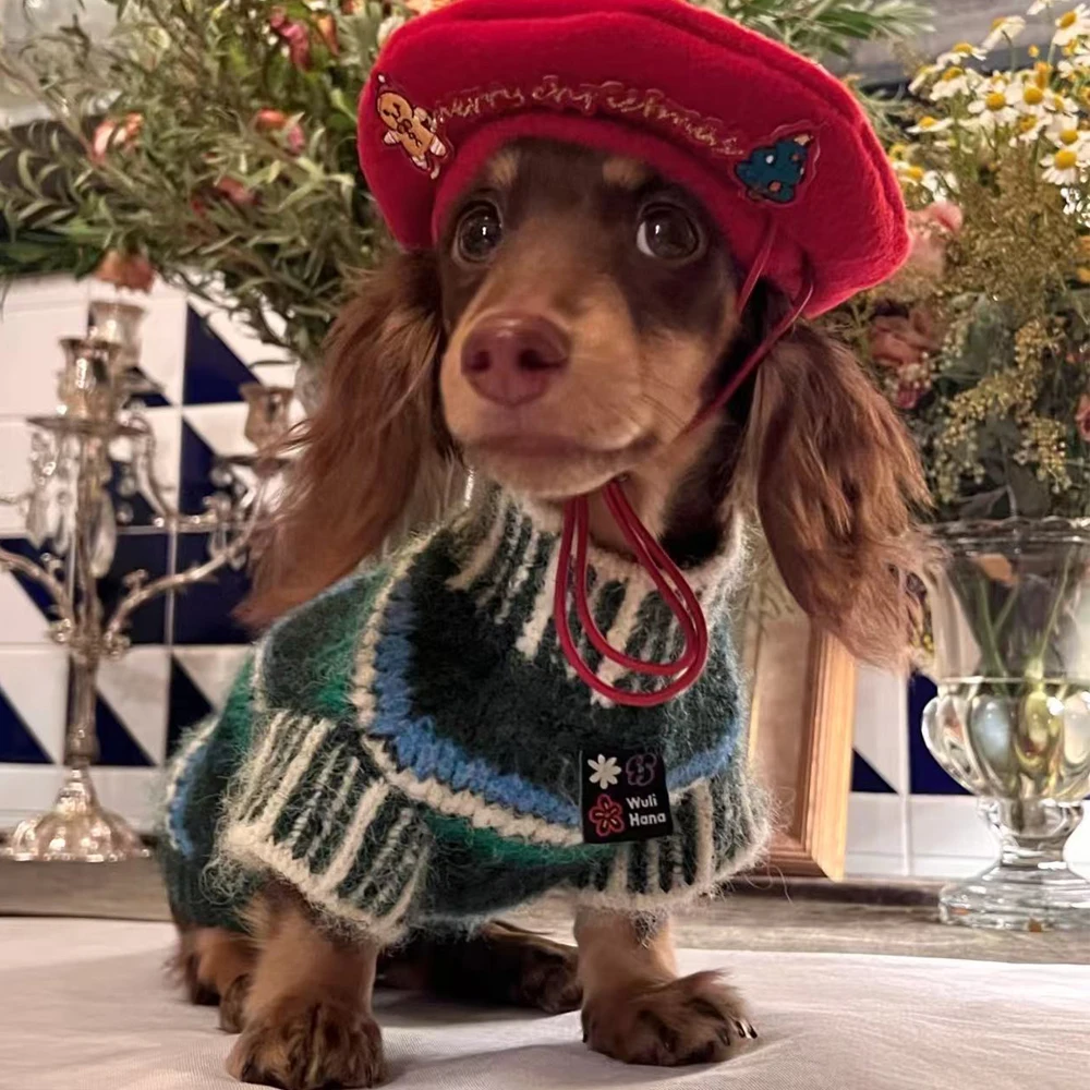 Abrigo de punto hecho a mano de Navidad para perros Wiener, ropa de descanso de otoño para perro salchicha, suéter británico clásico de invierno, chaleco para vacaciones - imagen 2