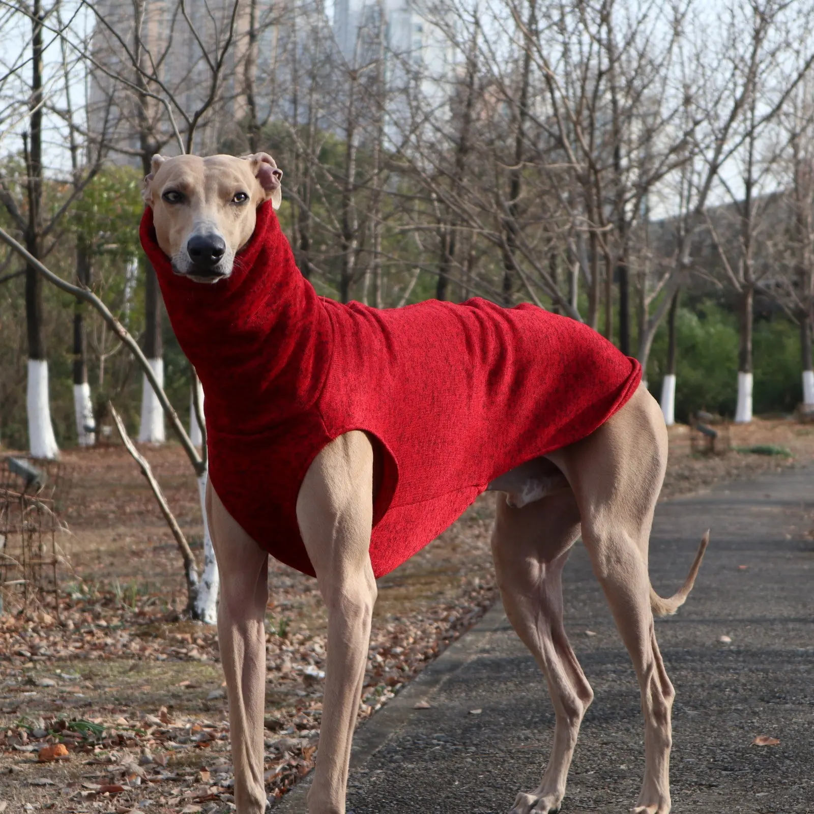 Chaleco polar rojo sin mangas para perros Whippet y Galgo Español