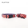 Dog Collar Set