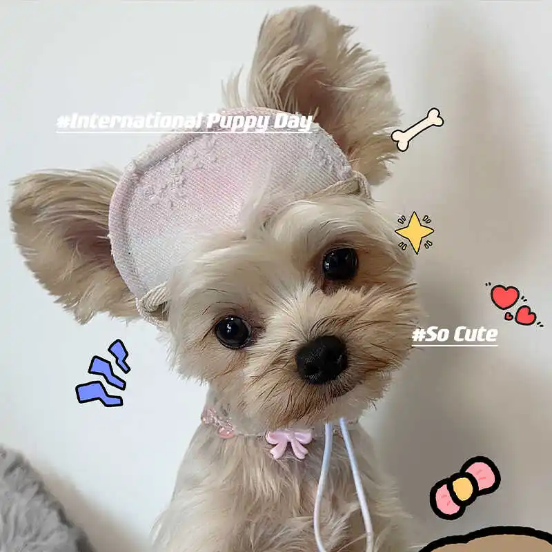 Gorra de perro INS Kawaii, gorra de béisbol ajustable para cachorros, gorra vaquera con agujeros para las orejas, Schnauzer de peluche maltés, sombrero para el sol para perros pequeños al aire libre - imagen 4
