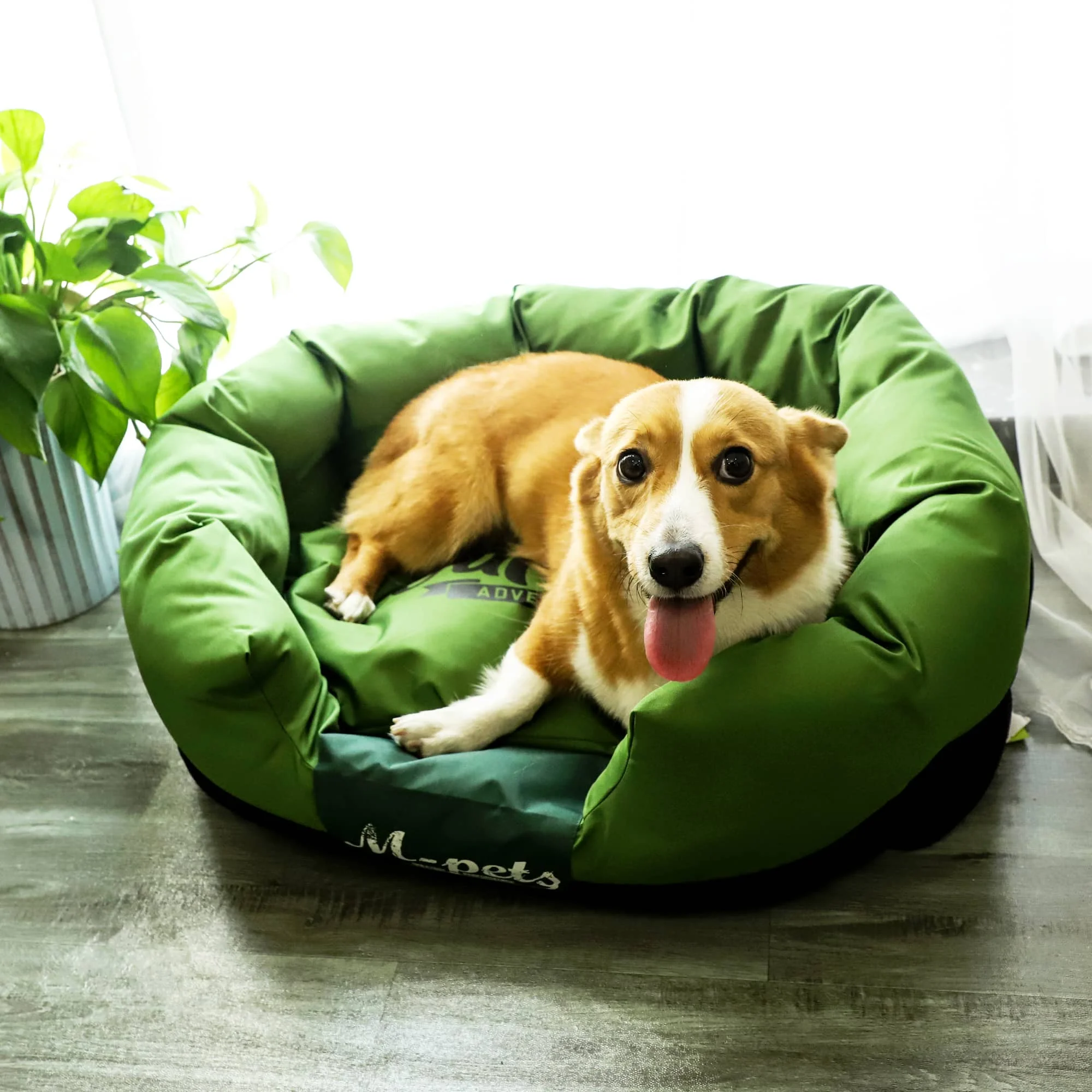 Perrera para perros y gatos de raza grande, cama lavable impermeable, resistente a los arañazos, pastor, Labrador, Retriever, Border Collie, 2022 - imagen 4