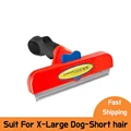 Dog XL-short hair