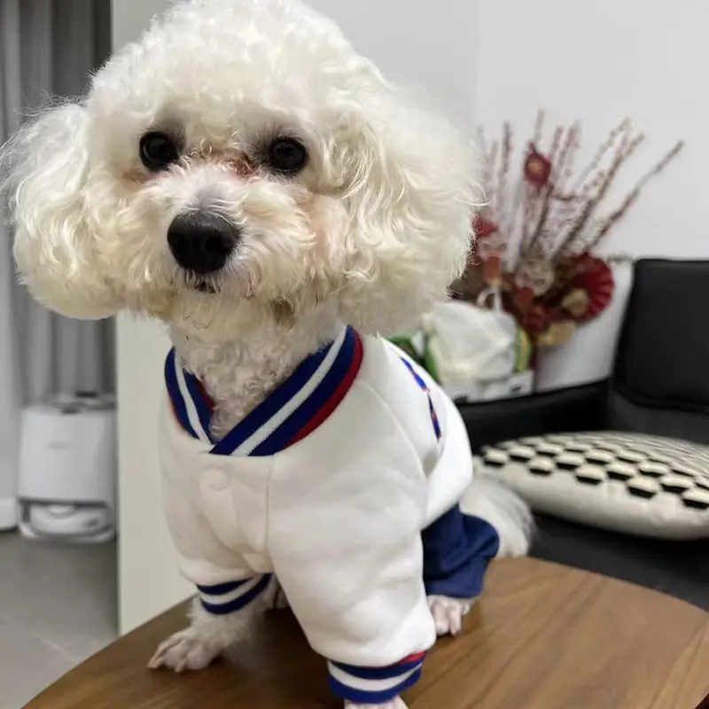 Chaqueta de béisbol de otoño/invierno para mascotas, chaqueta de peluche gruesa de invierno de cuatro patas para perros de tamaño mediano, chaqueta de peluche para perros pequeños - imagen 3