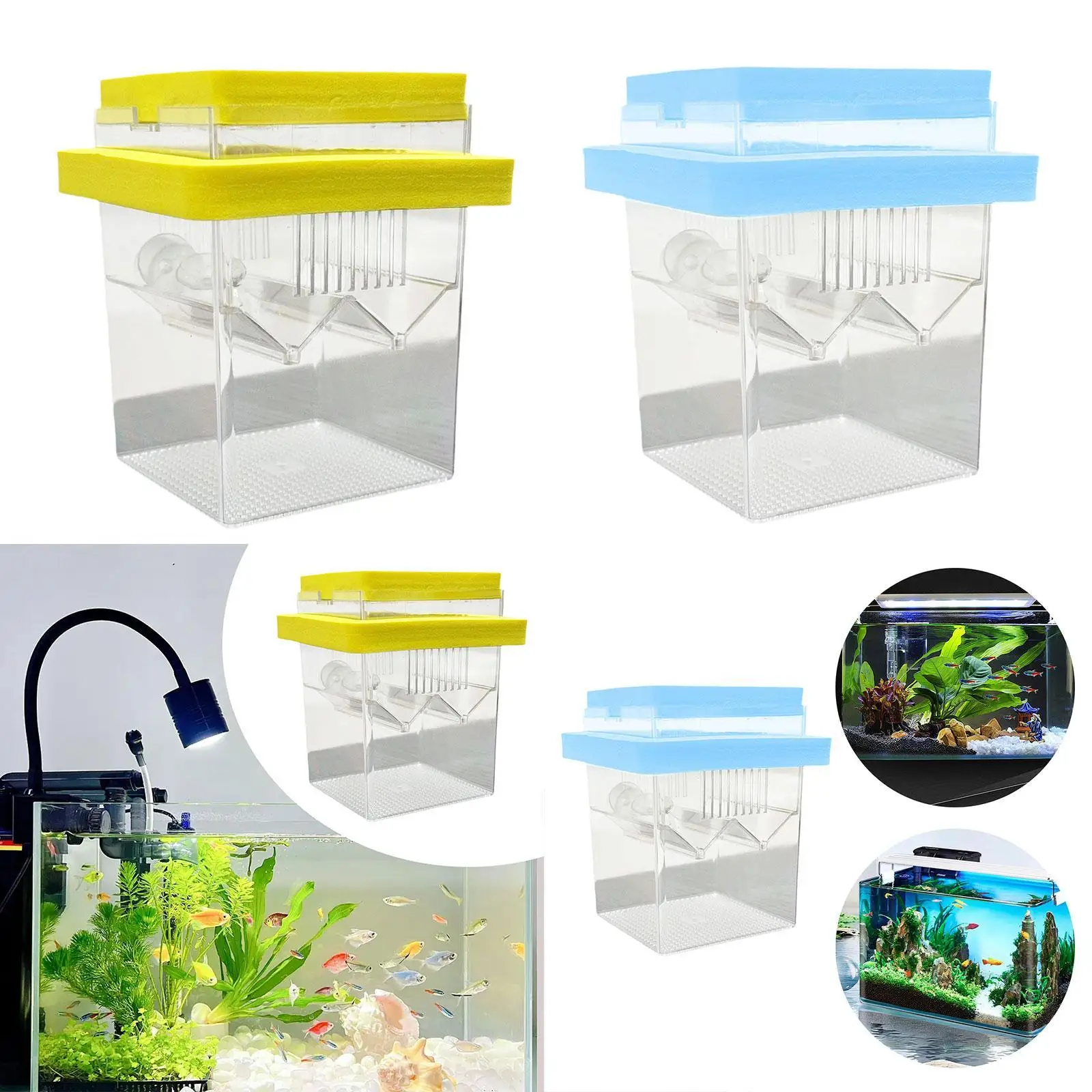 Incubadora flotante, caja de cría de peces, vivero de peces pequeños, caja de incubación de aislamiento de huevos para camarones, Betta, Guppy Fish - imagen 2