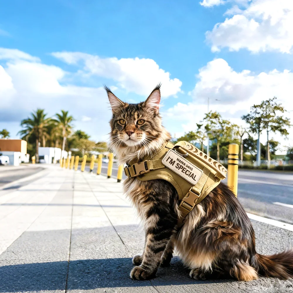 Arnés táctico con 2 parches, conjunto de chaleco para cachorros para perros pequeños, arneses para mascotas, entrenamiento de trabajo, accesorios para gatos