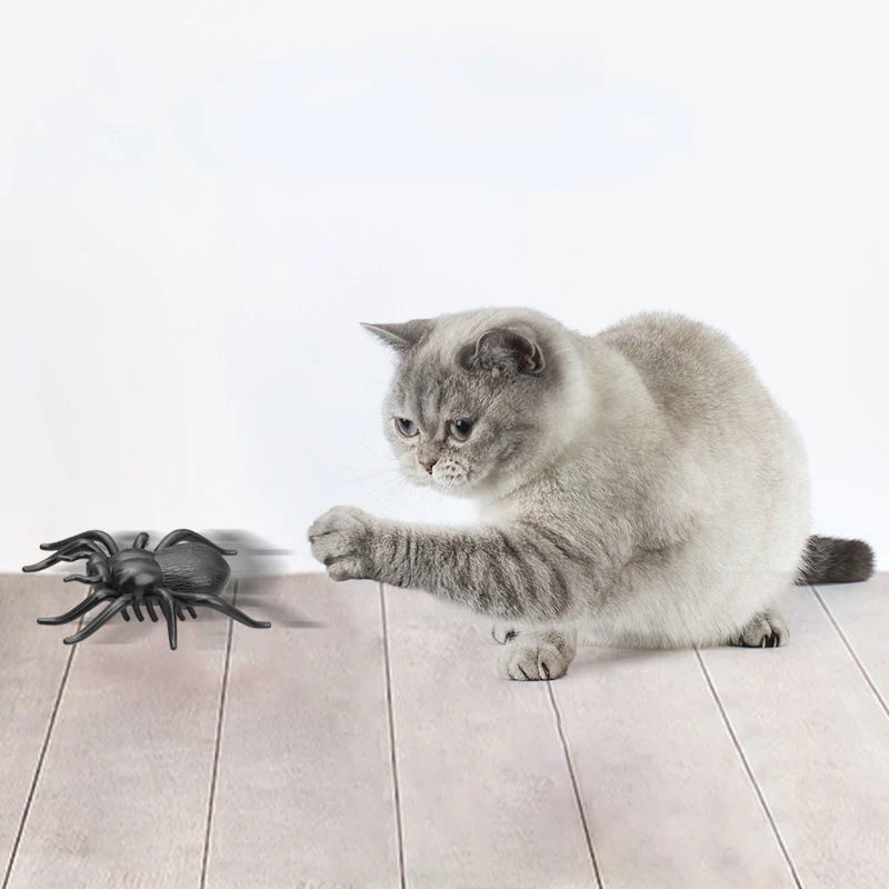 Juguete eléctrico de insectos para gato, juguete abatible automático con vibración operada por batería, escarabajo para mascotas, juguete para jugar, Mini Robot Bug - imagen 5